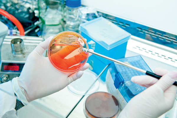 Lab Mikrob PT. Mukti Medika Utama – Medical & Laboratories Suppliers